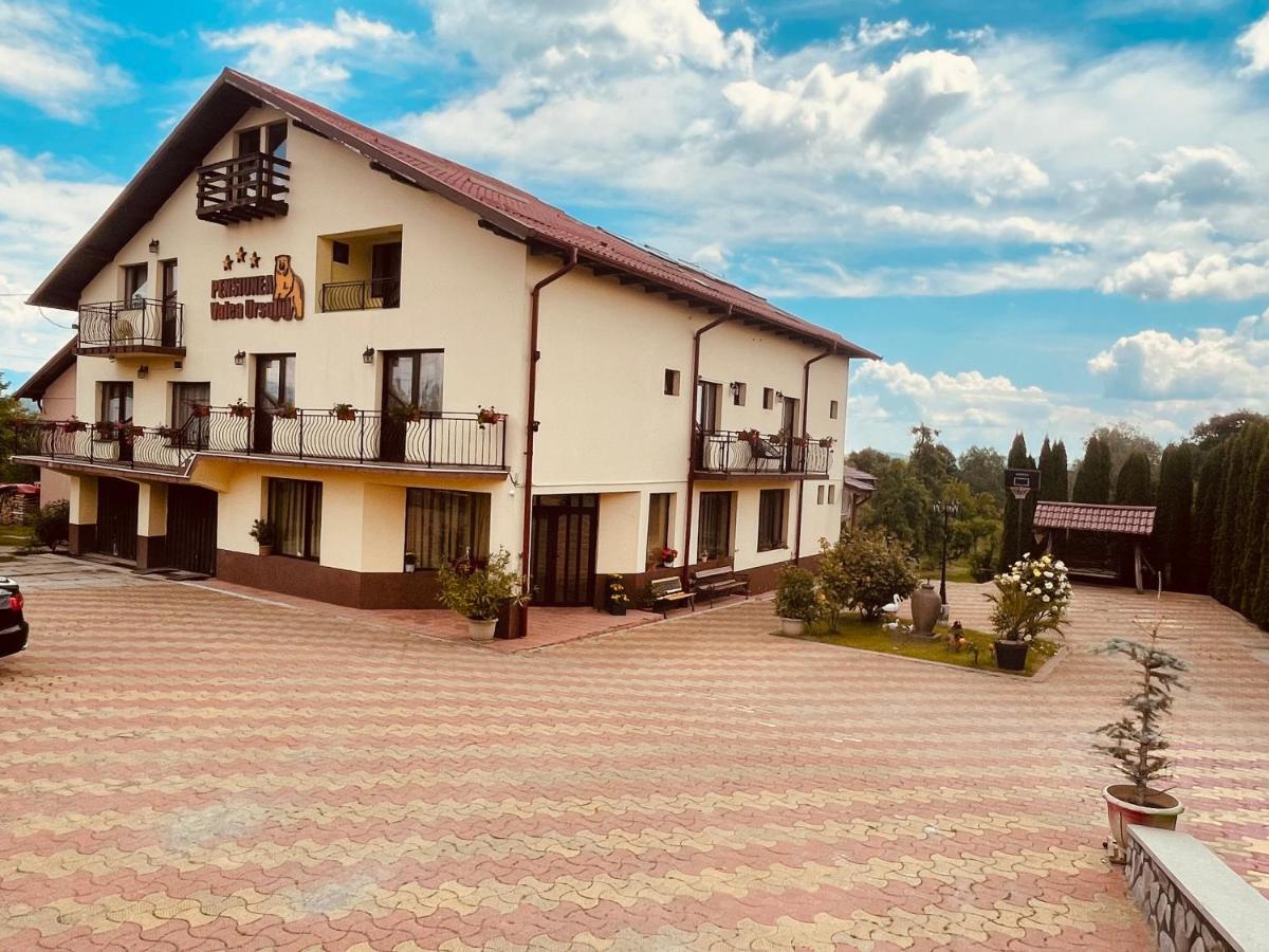 Pensiunea Valea Ursului Campulung Exterior photo