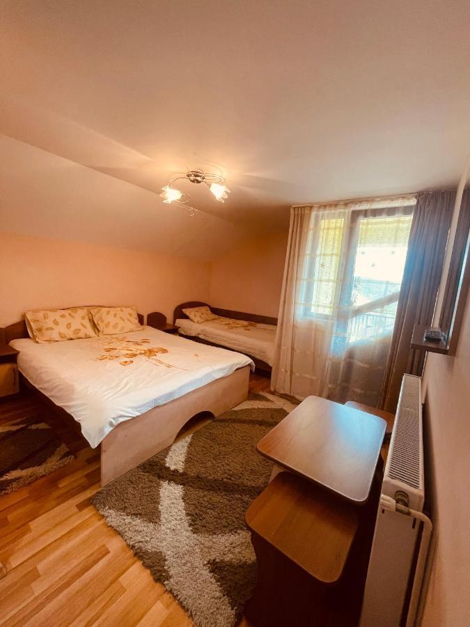 Pensiunea Valea Ursului Campulung Exterior photo