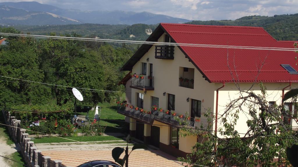 Pensiunea Valea Ursului Campulung Exterior photo